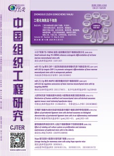 现代康复